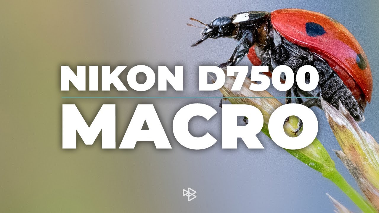 Подходит ли Nikon D7500 для макросъемки?
