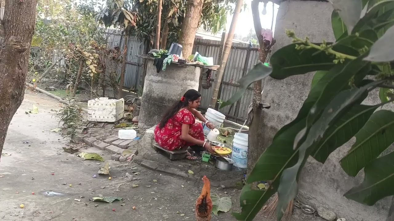 পদ্মপুকুরে  কতো মাছ হয়েছে/দুপুরের কাজ দিয়ে ব্লগ স্টার্ট করলাম 🏡।