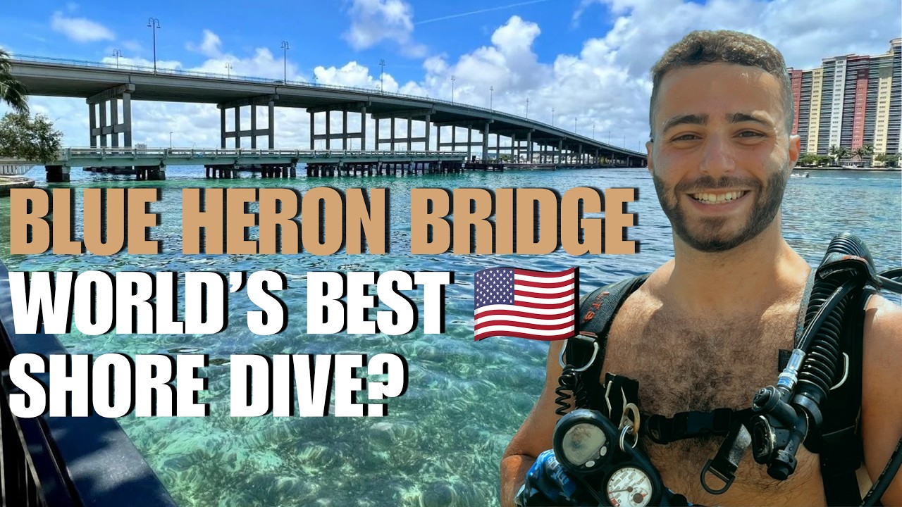Scuba Diving Blue Heron Bridge Guide