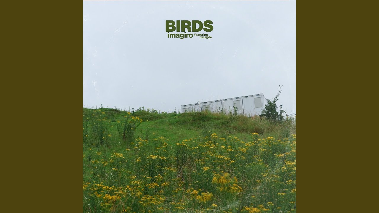 Birds (feat. Delayde)