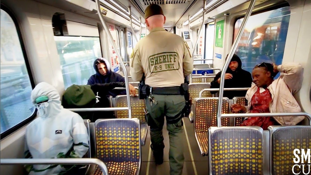 Sheriff's Explosive Detection Dog Patrols Downtown Metro Station