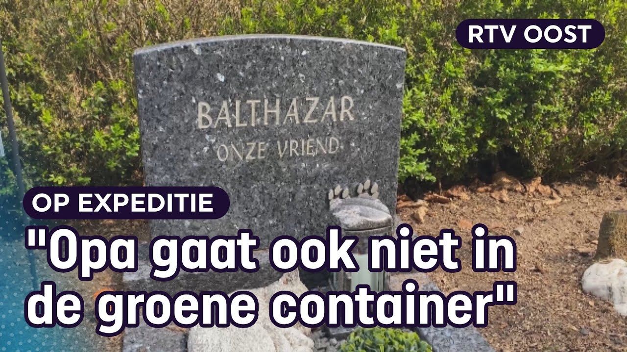 Je huisdier begraven op een dierenkerkhof | RTV Oost