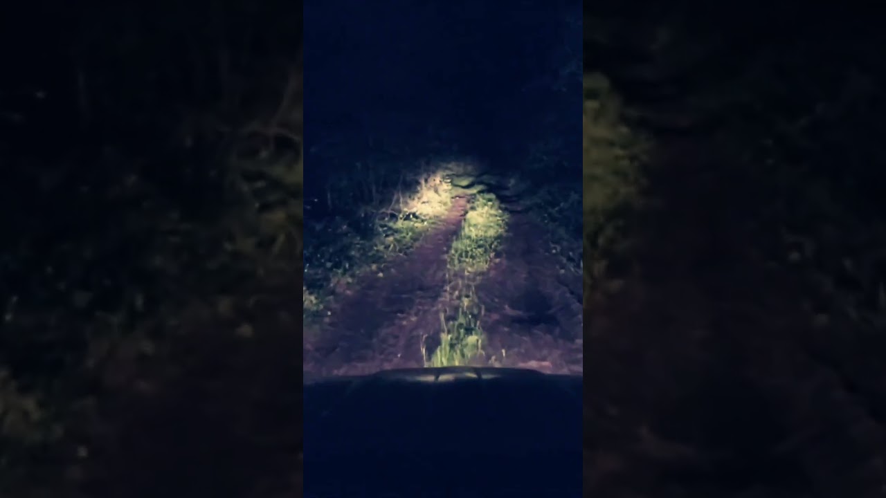 Kasjer zamknął roletę, gdy mnie zobaczył⁉️💀🕯️
