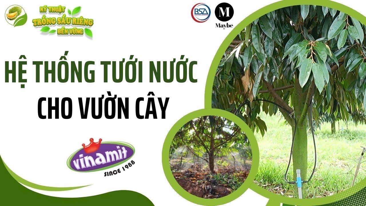 Hệ thống tưới nước cho vườn cây #11 - Nông gia Huỳnh Quới