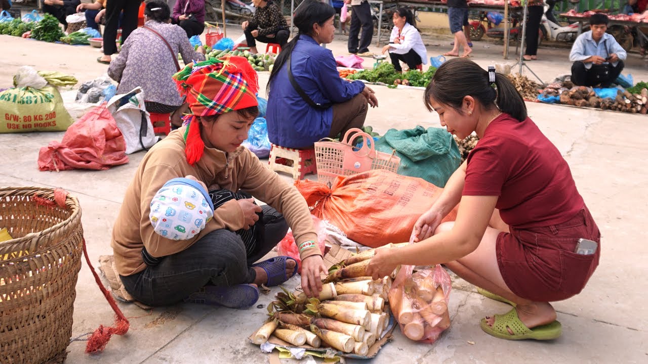 72-Hour of a Single Mom Without Jack by Her Side: Harvesting Bamboo Shoots, Melons Sell At Market