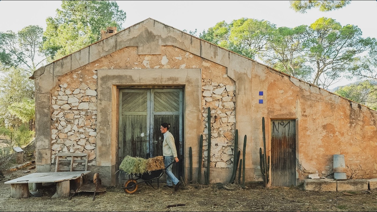 Mis animales y el huerto de primavera - Os enseño qué siembro en marzo