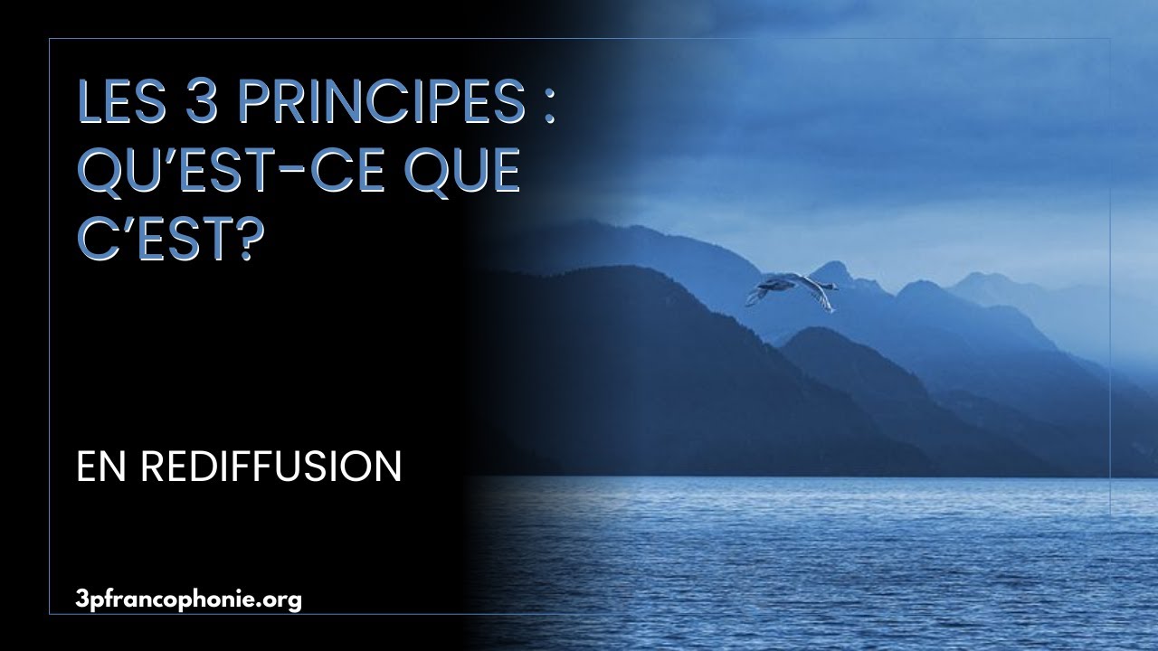 Les 3 Principes: Qu'est-ce que c'est?