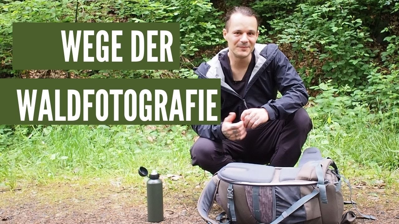 WALDFOTOGRAFIE WEGE DER WALDFOTOGRAFIE