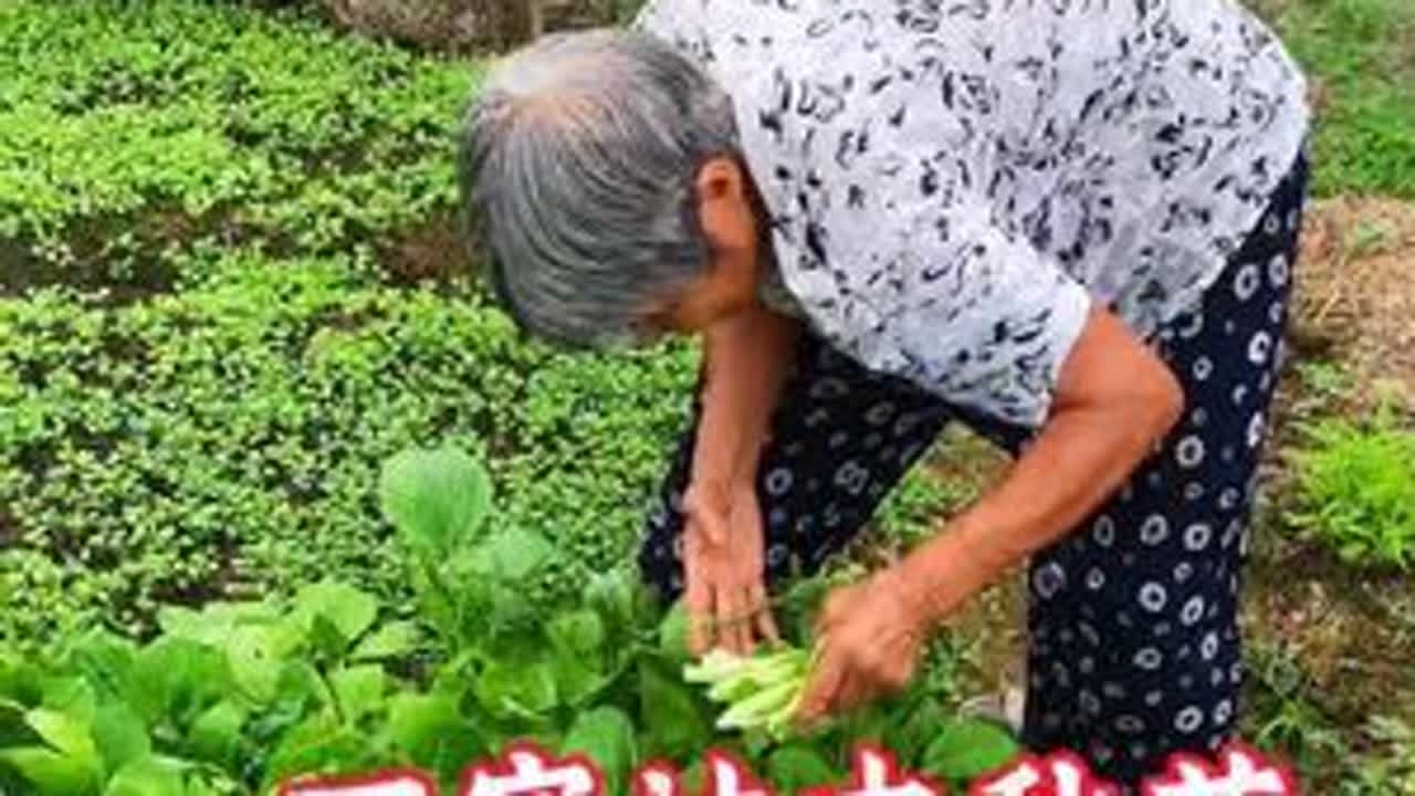 中秋归乡，妈妈做的手工汤圆，鱼冻子里， 藏着我整个童年的味道！城市的喧嚣，终究抵不过家乡宁静的烟火气！#农村生活 #农村美食 #小时候的味道 #中秋节#乡愁记忆
