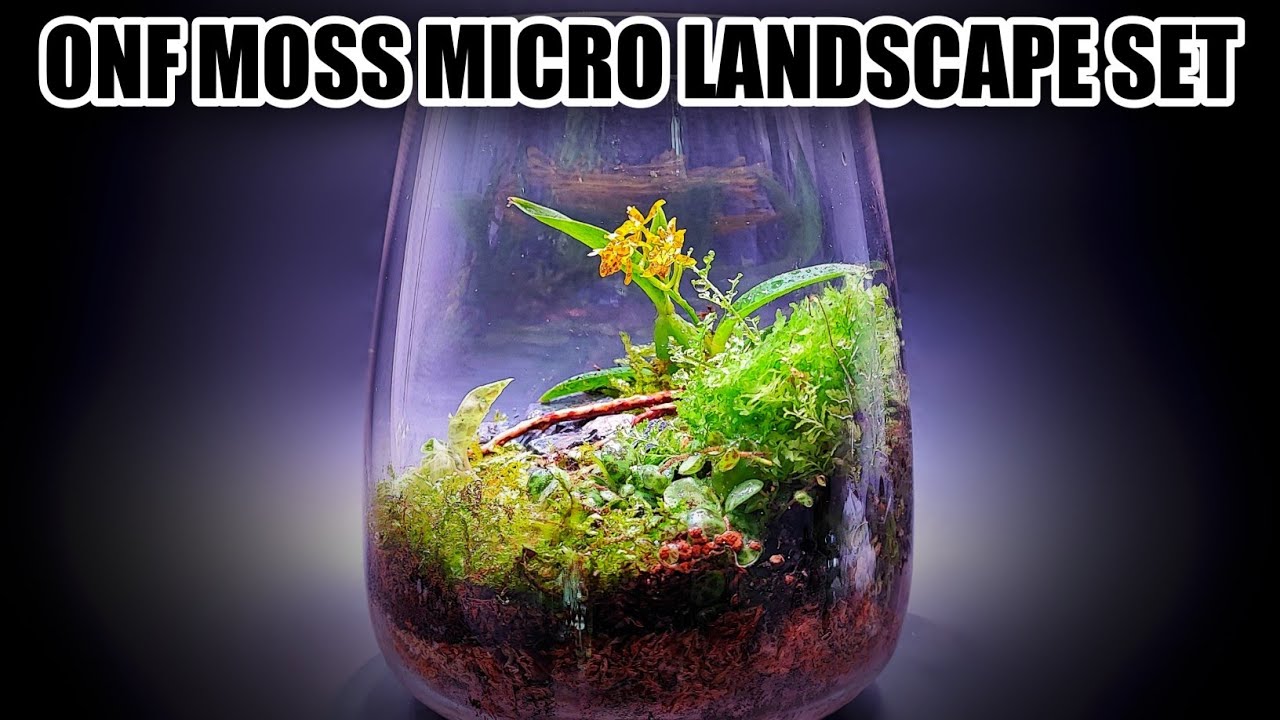 ONF Moss Micro Landscape Set