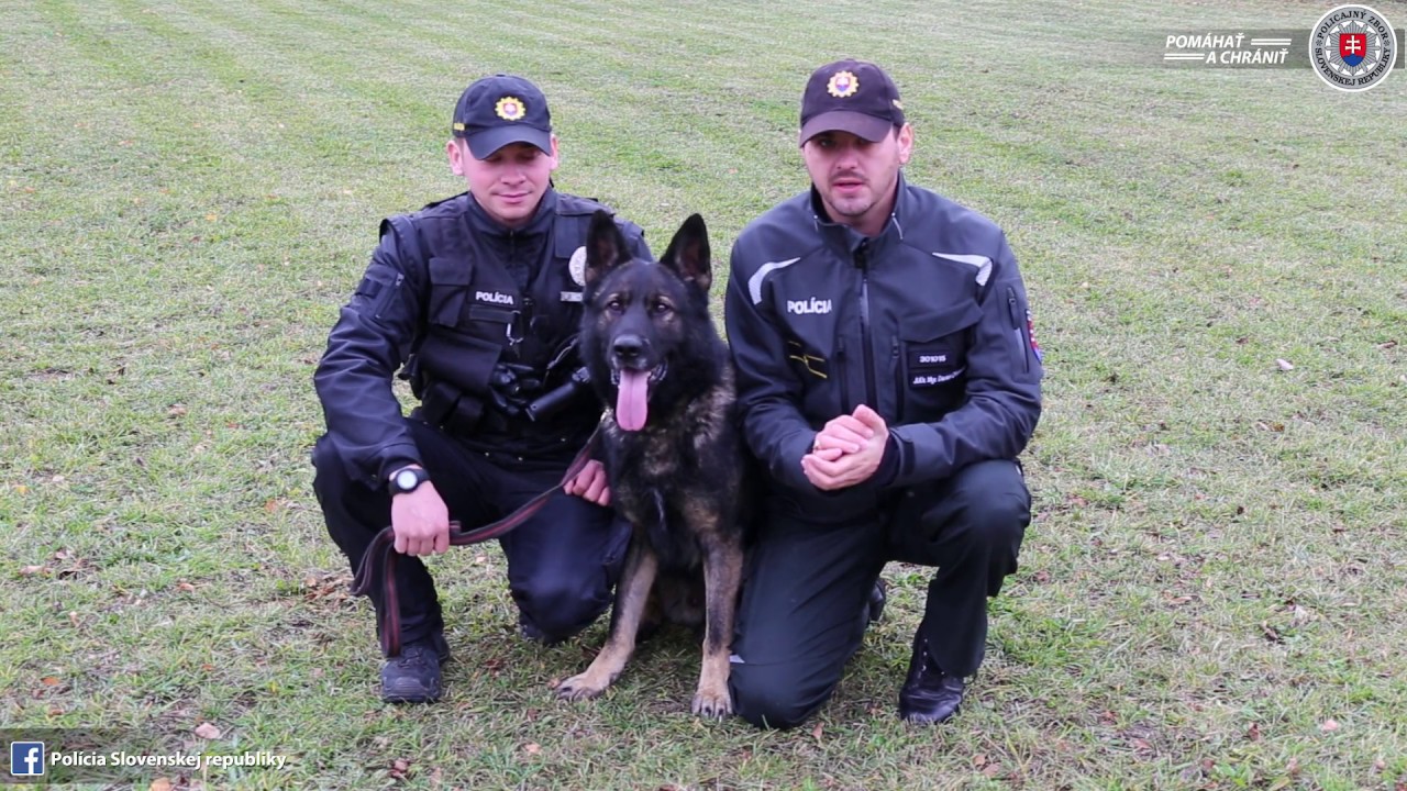 Pes - verný priateľ a pomocník policajtov