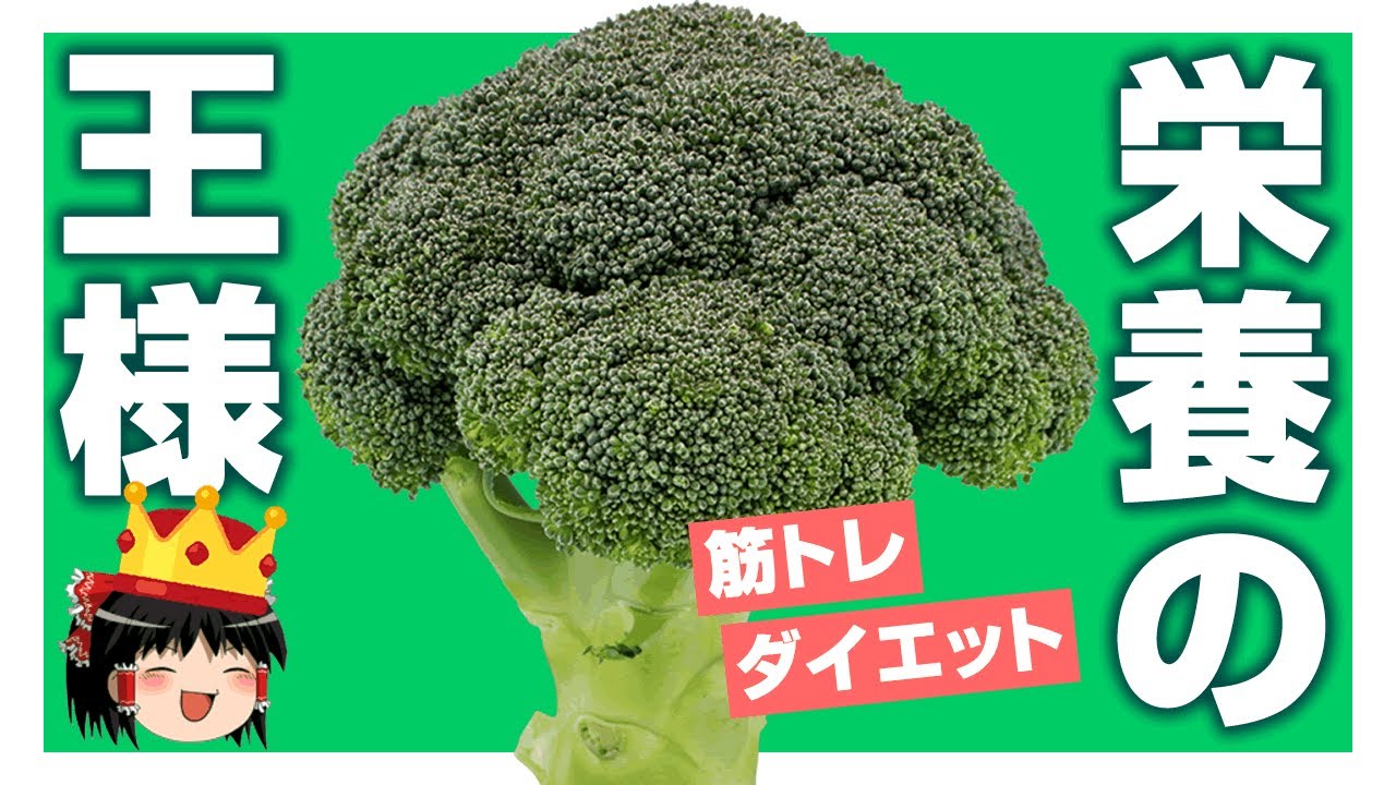 【ゆっくり解説】筋トレやダイエットに効果的！ブロッコリー解説