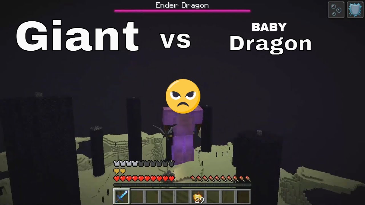 Minecraft | Fighting the Ender Dragon as a GIANT!!