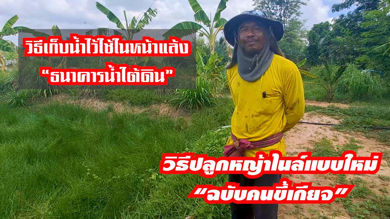 พาชมธนาคารน้ำใต้ดิน วิธีปลูกหญ้าแบบคนขี้เกียจ