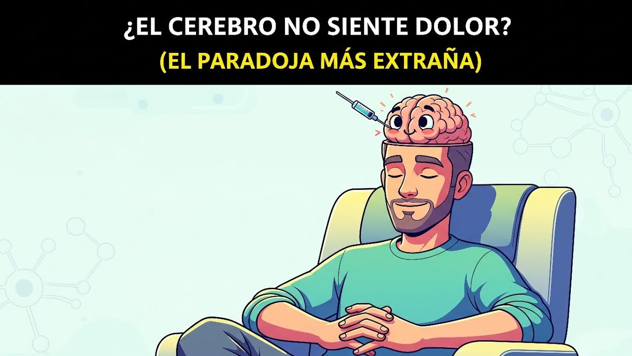 ¿Por qué tu cerebro no puede sentir dolor? 🧠🚫