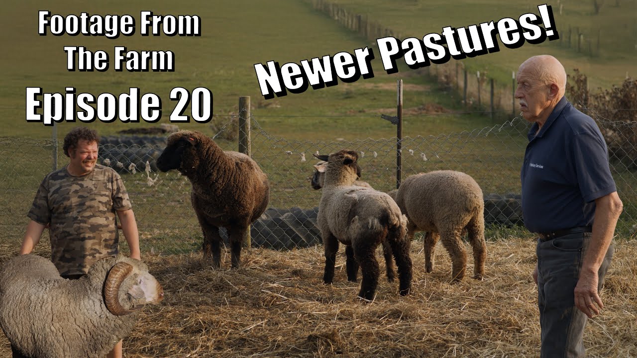 Footage From The Farm: Episode 20 - Prepping the Sheep for Winter with Dr. Pol! 🐑❄️