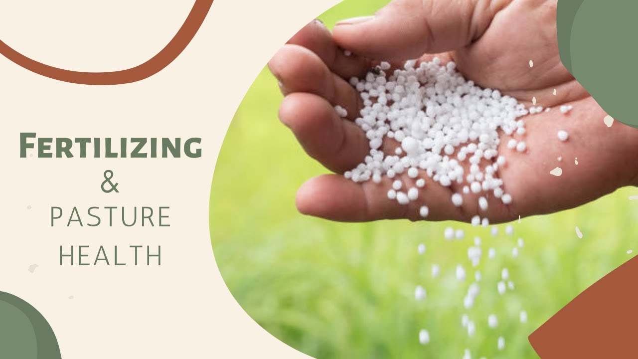 Why and When Do We Fertilize? // PASTURE HEALTH
