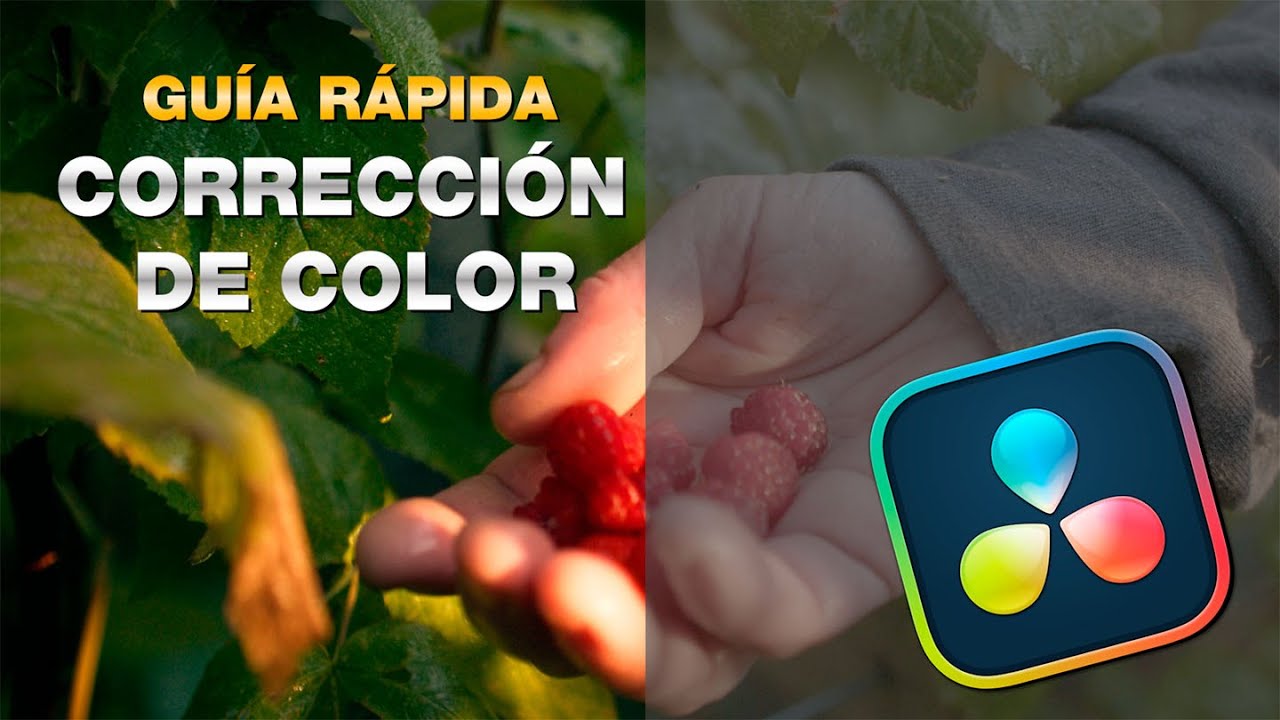 Gu&iacute;a R&aacute;pida de CORRECCI&Oacute;N DE COLOR en DaVinci Resolve