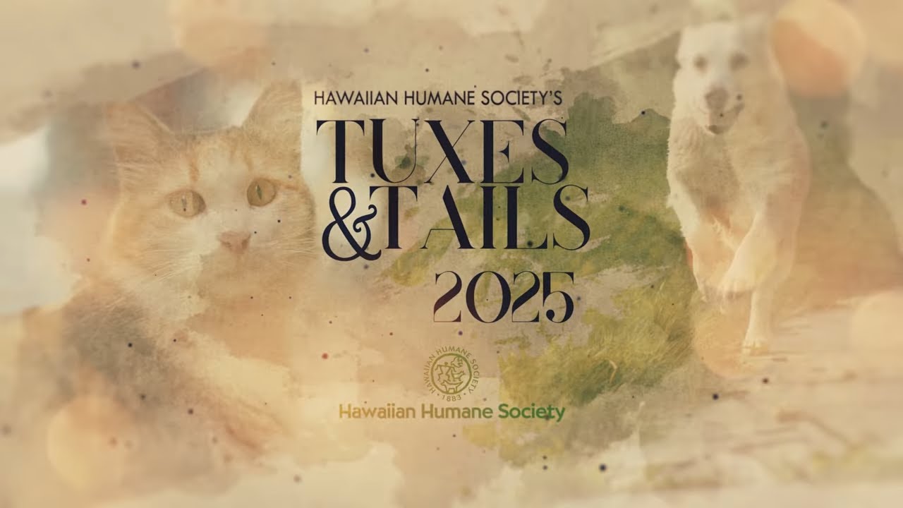 Hawaiian Humane Society | Tuxes & Tails 2025 | Pet Stories