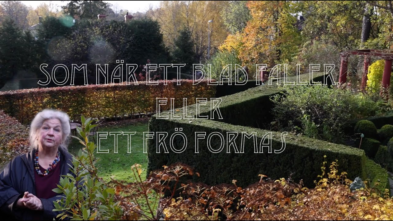 Naturliga fenomen 1