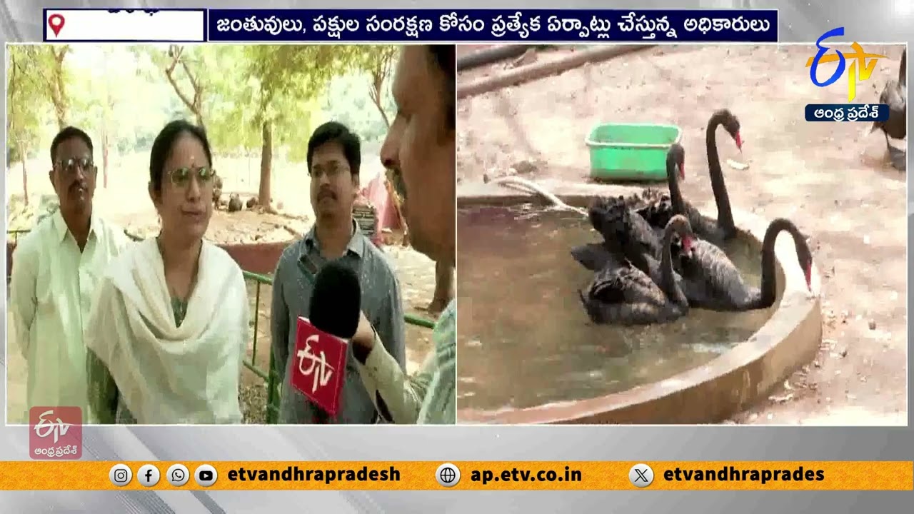 వడదెబ్బ బారిన పడకుండా విశాఖ జూలో అధికారుల చర్యలు | Special Measures Taken by officials | Vizag Zoo