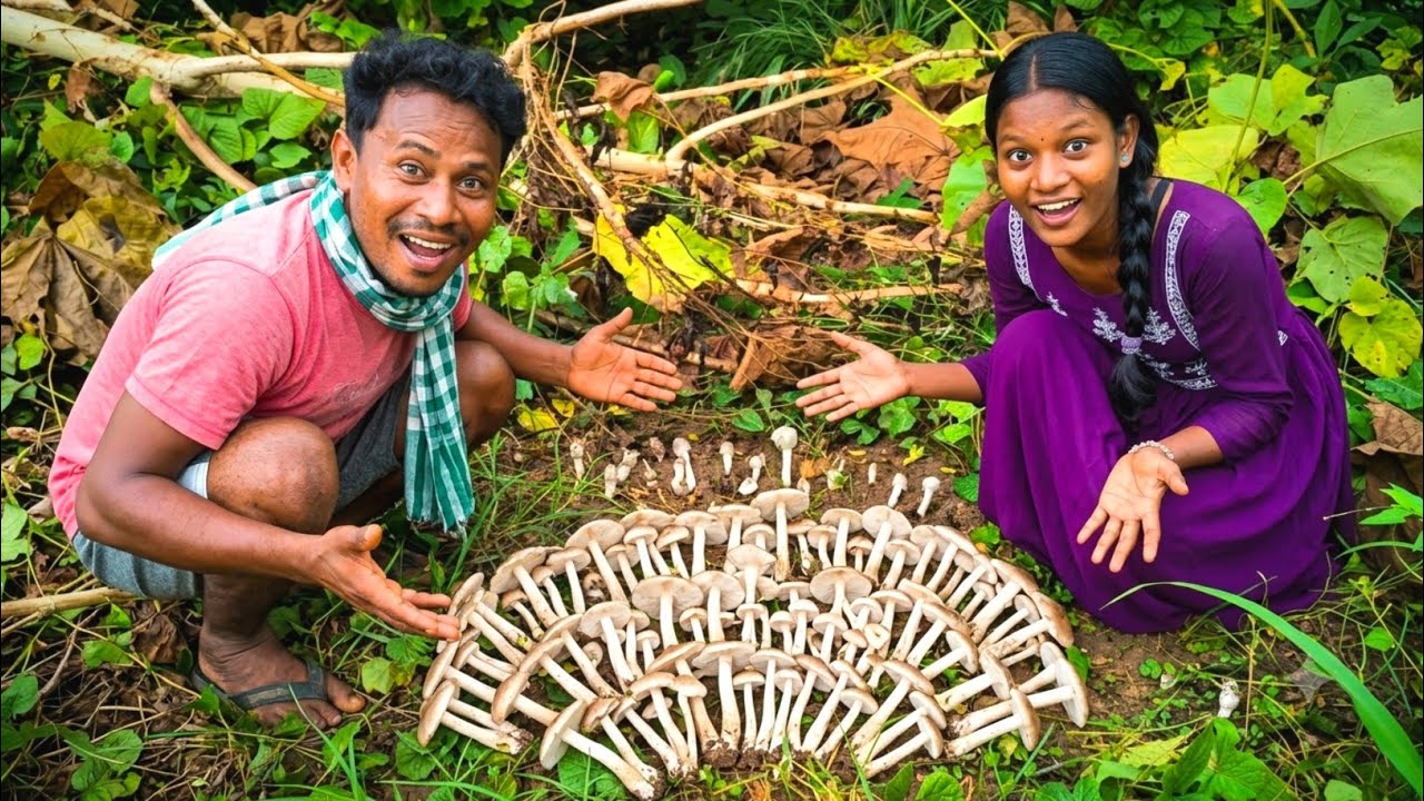 Jungali Mushroom| Lots of mushrooms! | Village Style Cooking and Eating 