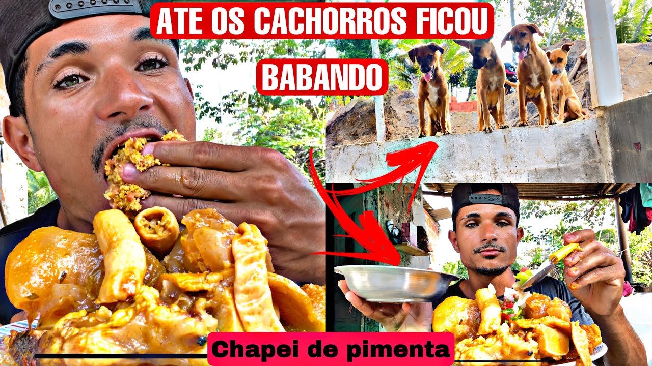 COMENDO DE MAO / MOCOFATO / TRIPA / BUCHO COMI QUE NEM UM LEITAO🤭