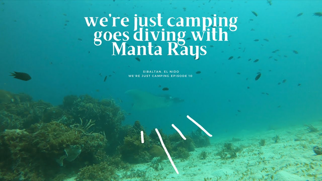 SCUBA diving with gentle giant sightings at Sibaltan El Nido, Palawan PH