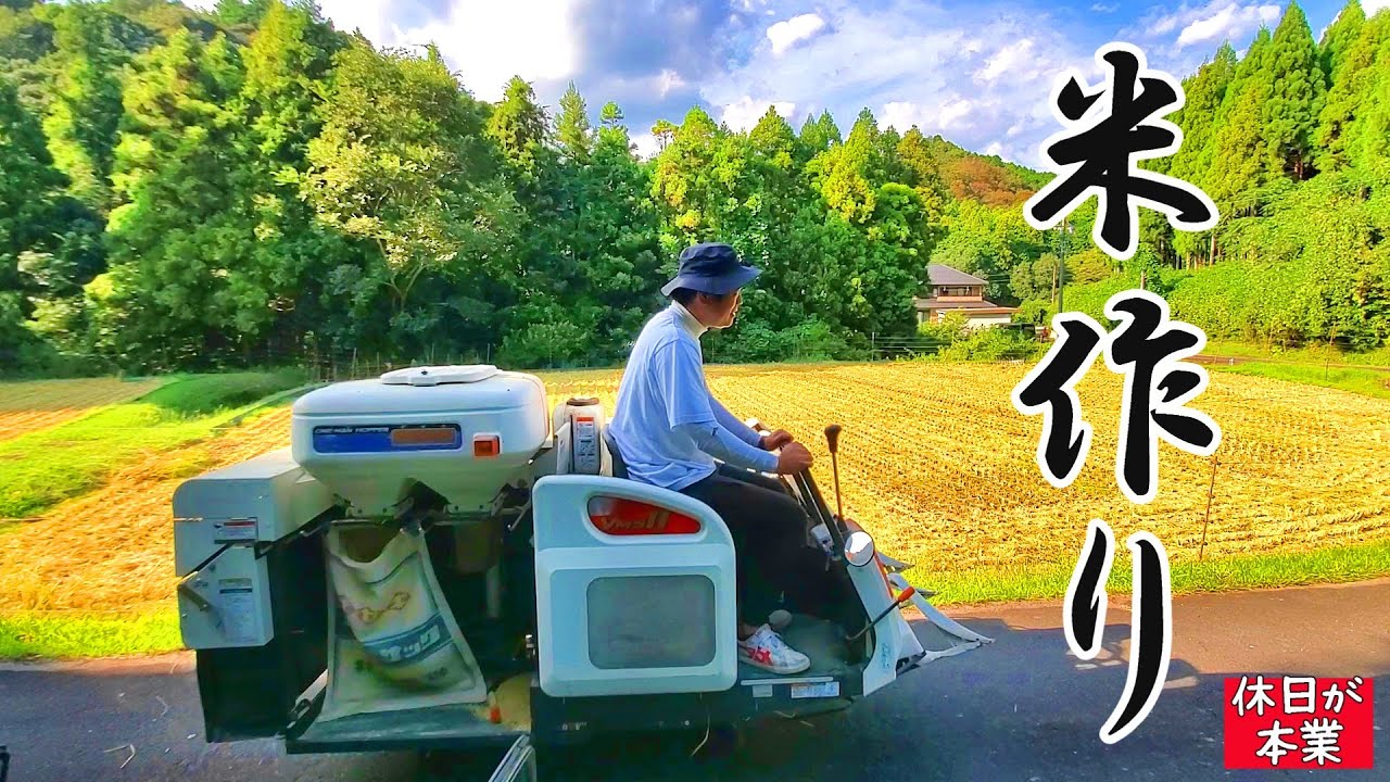 農業未経験が田んぼを一人でやってみた！お米は本当に作れるのか？【休日が本業ちゃんねる×素人米作り】