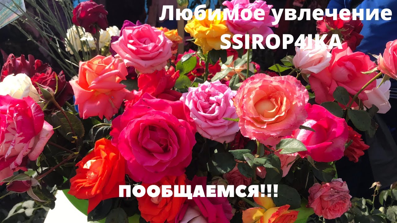 Пообщаемся!!!