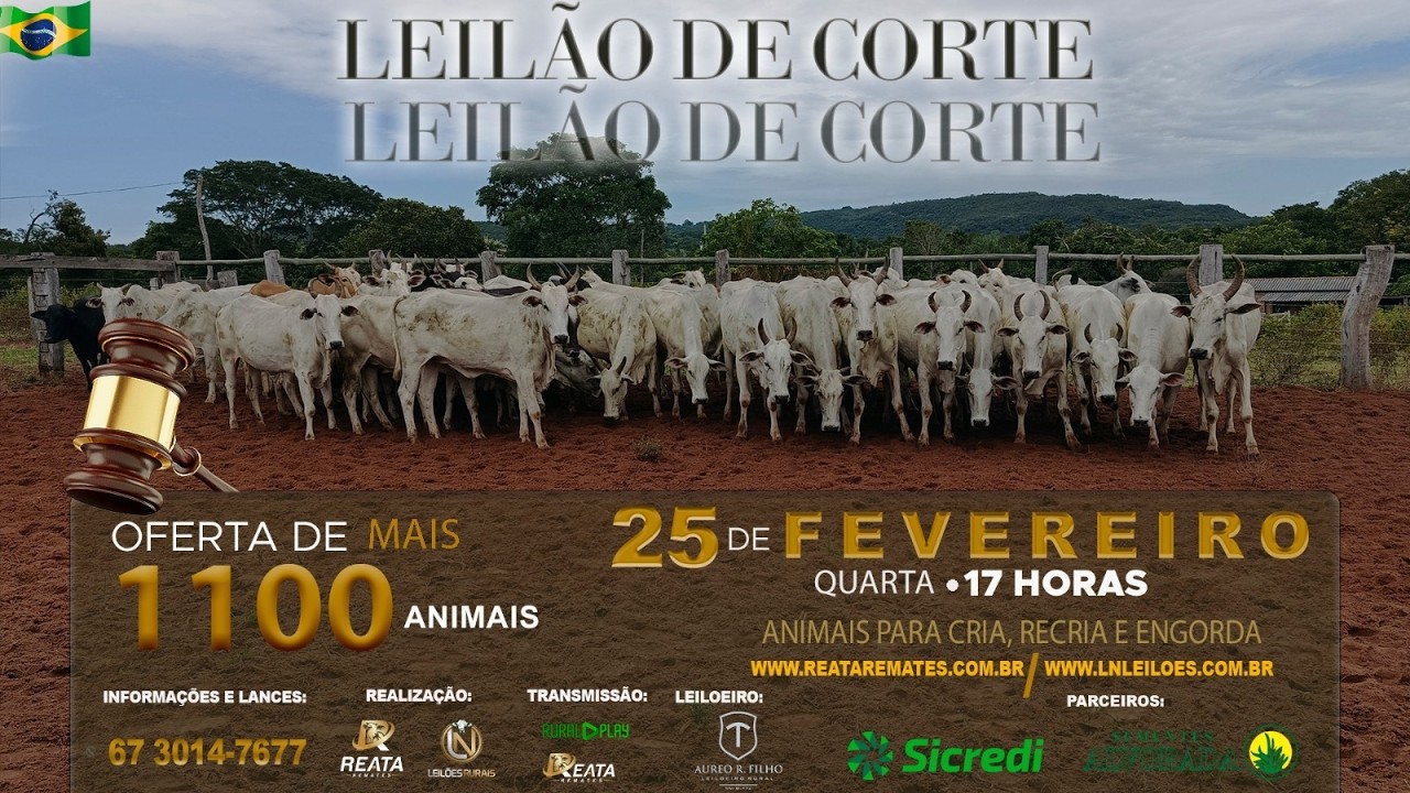 LEILÃO VIRTUAL REATA REMATES & LN LEILÕES - CAMPO GRANDE/MS - RURAL PLAY