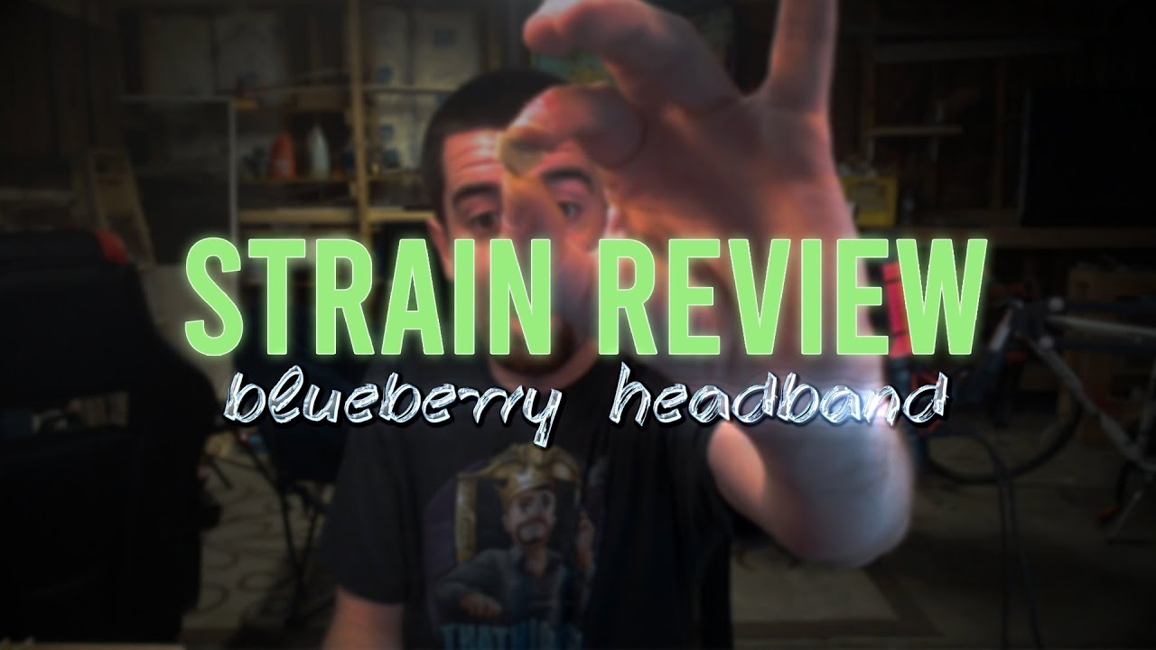 Blueberry Headband Wax Review