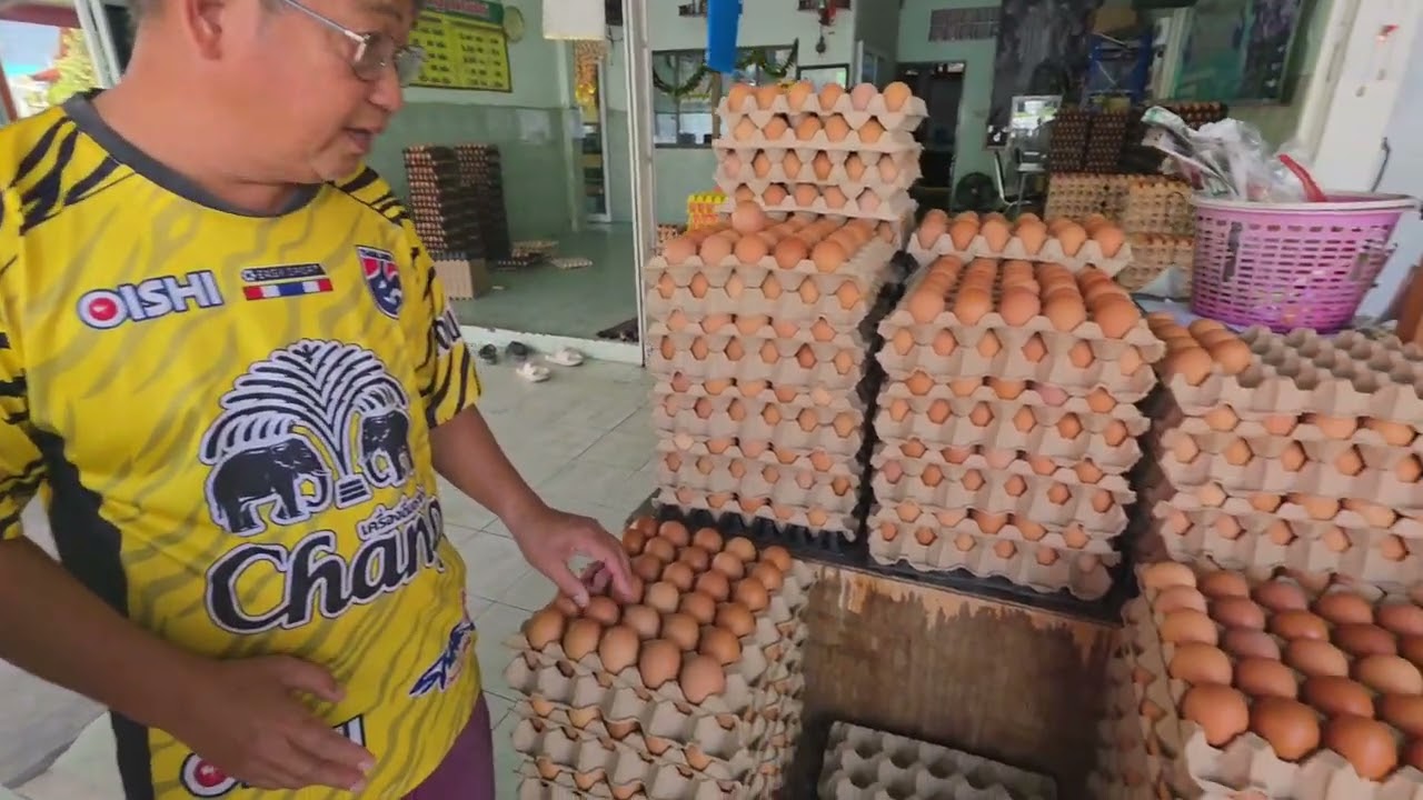พิษณุโลก ไข่ไก่ปรับราคาขึ้นทั่วประเทศวันนี้ แผงละ 6 บาท เบอร์ 0 แผงละ 146 บาท