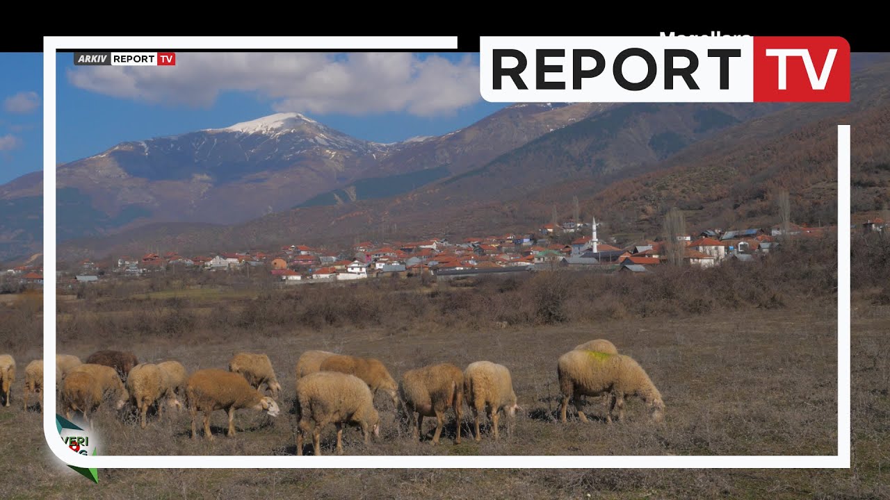 Veri Jug - Maqellara (03.03.2024)