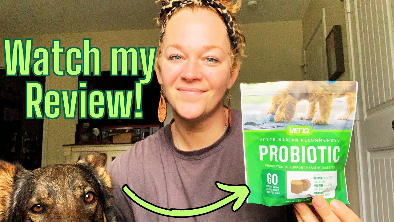 Probiotics for Dogs-Honest Review