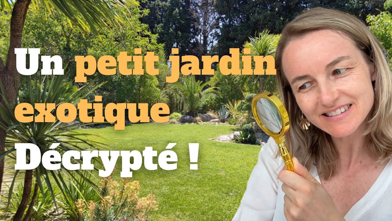 Un petit jardin exotique décrypté