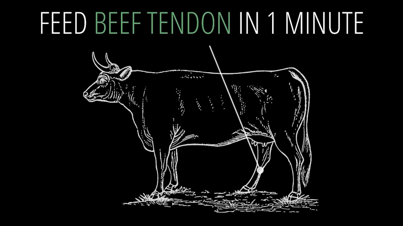 Feed Beef Tendon in 1 Minute