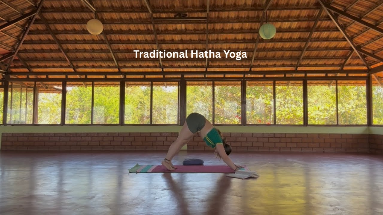 Gentle Hatha Yoga | All Levels | 30 Minute Practice 