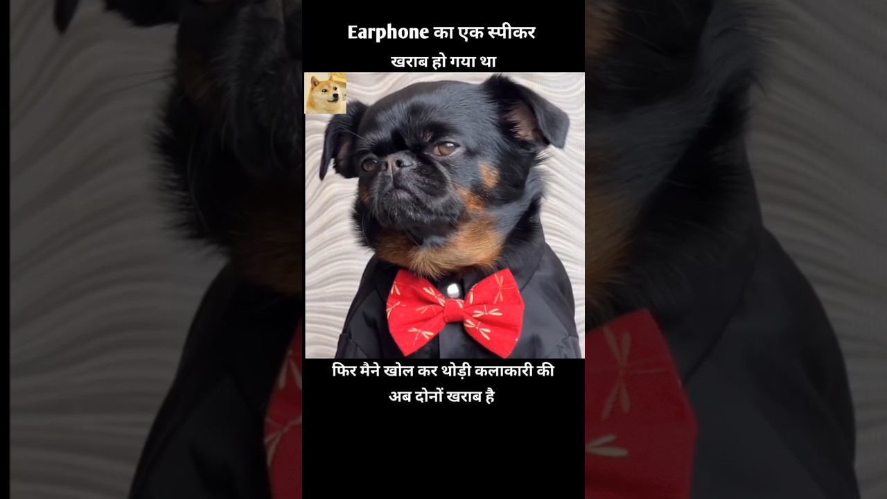 dog ki funny video😂 | 