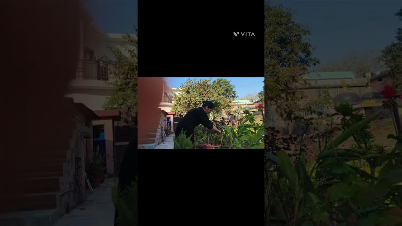 Sunday Gupsup#video#garden#GardenofShaliniSharma💕