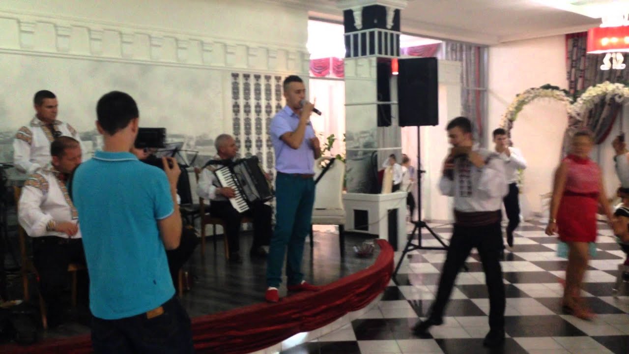 Ion Pogor - are pasarea doi pui