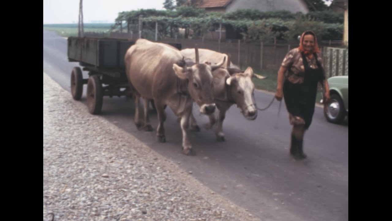 Slovenia 1978 archive footage