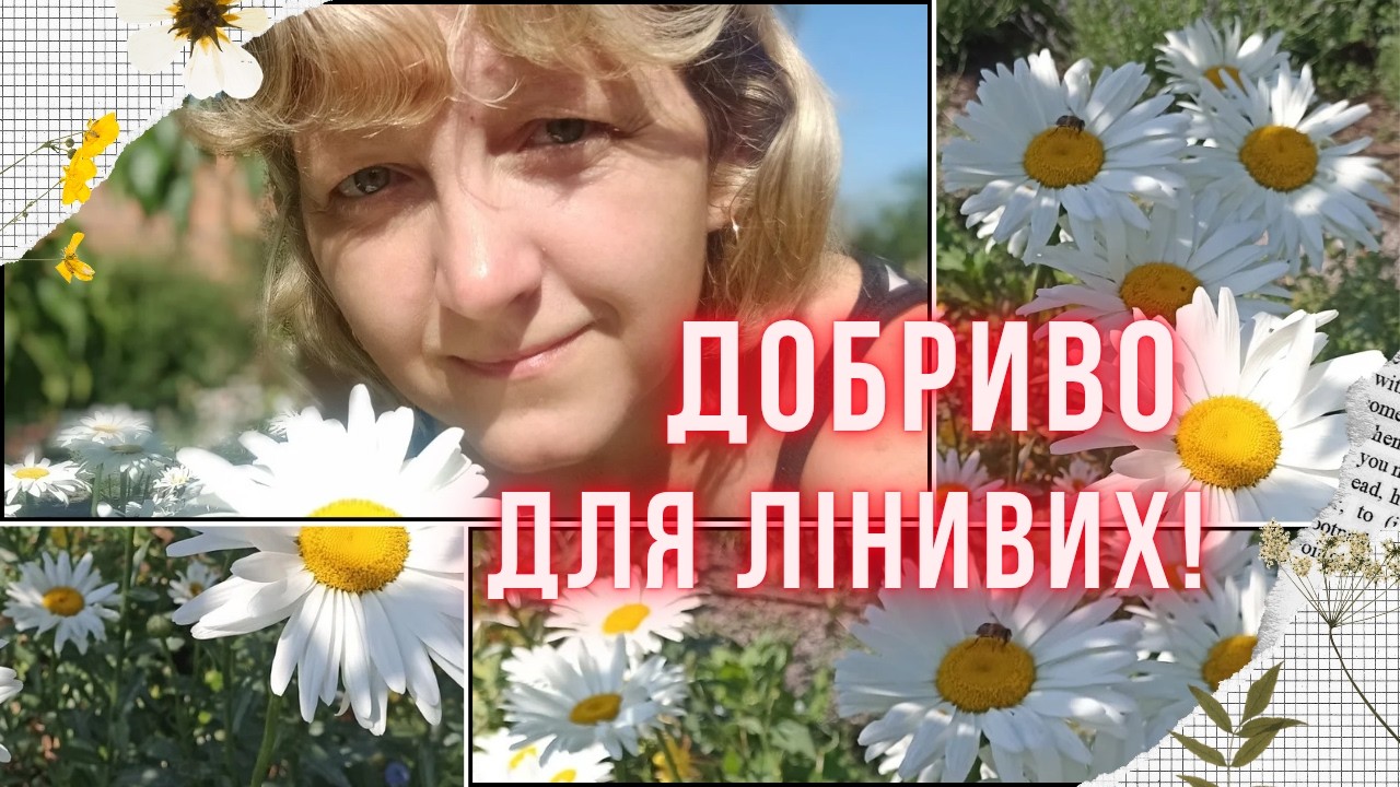 ОСМОКОТ: правда і міфи про добрива пролонгованої дії. Плюси та мінуси Осмокоту, мій досвід