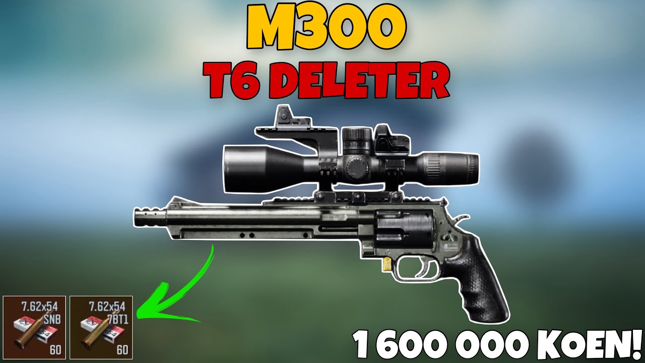 M300 DELETED T6 ENEMY ON PORT IN ARENA BREAKOUT
