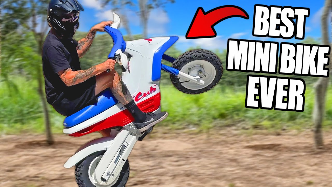 The RARE Mini Bike Everyone NEEDS! Honda Cub EZ90
