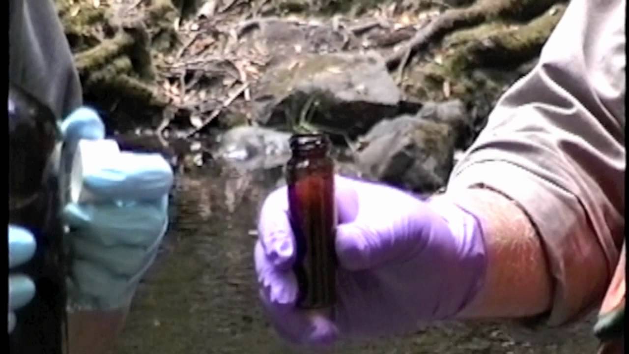 Collecting Water Quality Samples For VOC's.avi