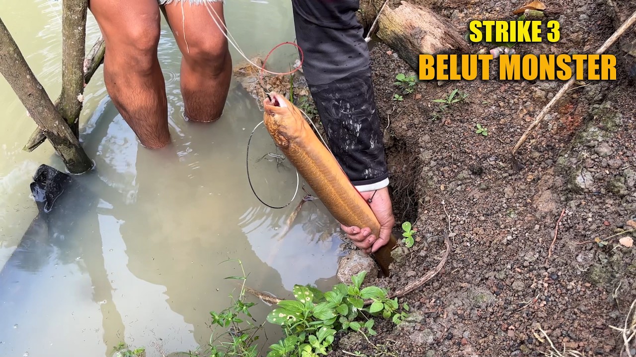 STRIKE TIGA BELUT MONSTER DENGAN GAYA YANG BERBEDA