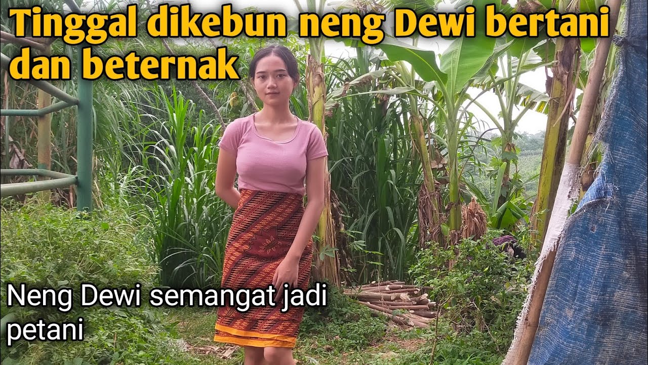 Tingal Di kebun Neng Dewi Semangat Bertani@Titisanpetualanganalam 