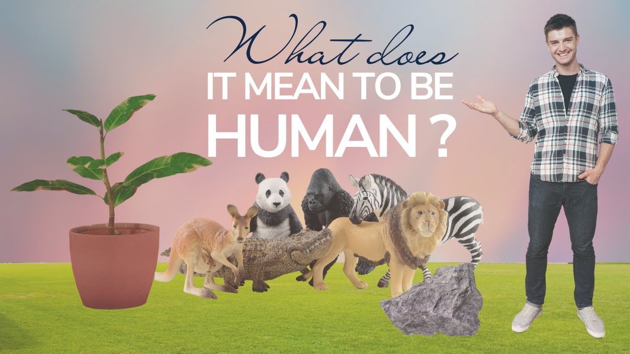 How are we different to other life forms on this planet?