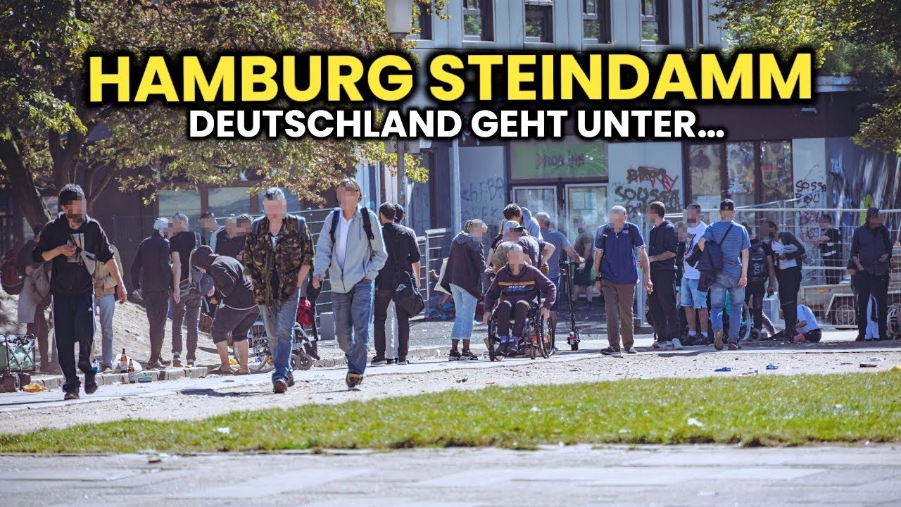 Hamburg wird zu Bagdad! 😱🔥 80% Migration am Steindamm! 🤯 katastrophale Zustände￼ in Deutschland!